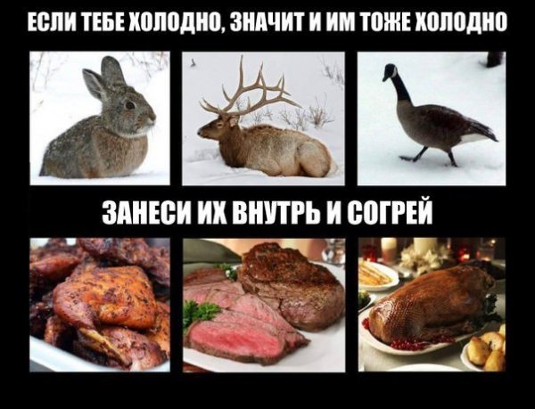 proxy.php?image=http%3A%2F%2Fs00.yaplakal.com%2Fpics%2Fpics_original%2F5%2F8%2F4%2F12310485.jpg&hash=89666db244364808357dd538105ea05a | Рено Каптур клуб Россия | www.KAPTUR.club