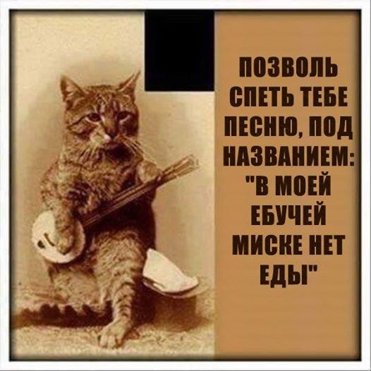 proxy.php?image=http%3A%2F%2Fs00.yaplakal.com%2Fpics%2Fpics_original%2F7%2F0%2F9%2F12369907.jpg&hash=8a2dc903b904efe976093b763bd6be02 | Рено Каптур клуб Россия | www.KAPTUR.club
