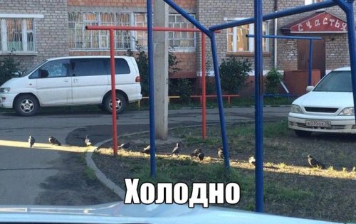 proxy.php?image=https%3A%2F%2Fmediasole.ru%2Fdata%2Fimages%2F178%2F178372%2F1472073172_rzhaka-55.jpg&hash=8c2d5c36cdafcfabec6b97a8d23d5e90 | Рено Каптур клуб Россия | www.KAPTUR.club