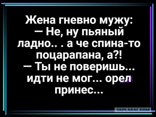 proxy.php?image=http%3A%2F%2Fs00.yaplakal.com%2Fpics%2Fpics_preview%2F6%2F9%2F7%2F12301796.jpg&hash=8c5fc9f327e37061c60d4837a95218fa | Рено Каптур клуб Россия | www.KAPTUR.club