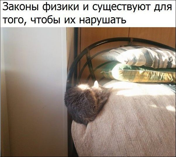 proxy.php?image=http%3A%2F%2Fwww.prikol.ru%2Fwp-content%2Fgallery%2Fnovember-2017%2Fkartinki-27112017-007.jpg&hash=8d11aad14b9cbeb22372824dcd8d44ee | Рено Каптур клуб Россия | www.KAPTUR.club