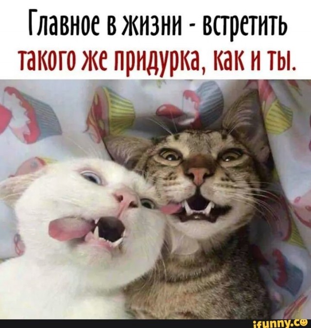 proxy.php?image=http%3A%2F%2Fs00.yaplakal.com%2Fpics%2Fpics_preview%2F5%2F8%2F2%2F13346285.jpg&hash=8d9dcd41ee21bdf63da8c7dbc8220ca2 | Рено Каптур клуб Россия | www.KAPTUR.club