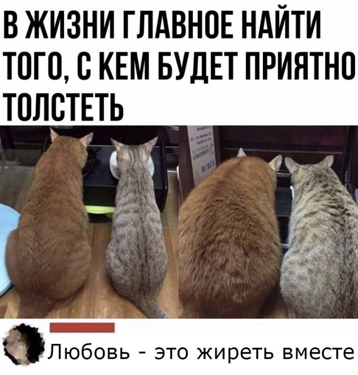 proxy.php?image=https%3A%2F%2Fyaustal.com%2Fuploads%2Fposts%2F2020-10%2Fmedium%2F1602172013_kommentarii-iz-seti-37.jpg&hash=91b78b645db05b90285eb6c868b926f7 | Рено Каптур клуб Россия | www.KAPTUR.club