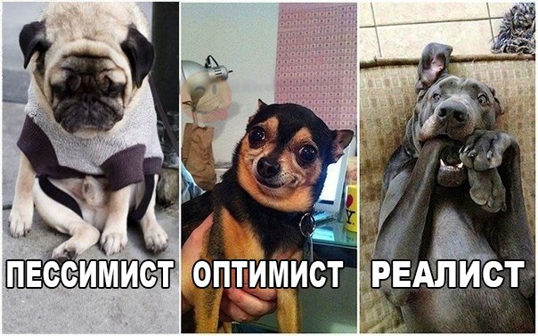 proxy.php?image=http%3A%2F%2Fs00.yaplakal.com%2Fpics%2Fpics_original%2F1%2F7%2F7%2F9819771.jpg&hash=92e46d5d28a5114de07eaa5e05d7f6e4 | Рено Каптур клуб Россия | www.KAPTUR.club