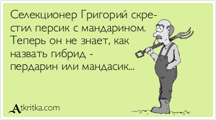 proxy.php?image=http%3A%2F%2Fs00.yaplakal.com%2Fpics%2Fpics_original%2F1%2F5%2F9%2F12378951.jpg&hash=94b1fdcb61262b760fb16abdf23c564e | Рено Каптур клуб Россия | www.KAPTUR.club