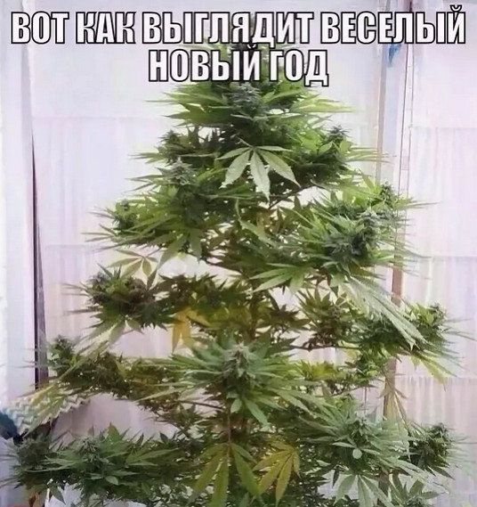 proxy.php?image=http%3A%2F%2Fs00.yaplakal.com%2Fpics%2Fpics_original%2F7%2F3%2F6%2F12378637.jpg&hash=964e8f38343c0ad1714c626a7a92e6ad | Рено Каптур клуб Россия | www.KAPTUR.club