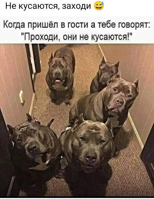 proxy.php?image=https%3A%2F%2Fi.ibb.co%2FYb0H7Lq%2FIMG-20240729-WA0048.jpg&hash=966d521ef821801c826ab49d16778d53 | Рено Каптур клуб Россия | www.KAPTUR.club