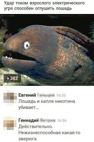 proxy.php?image=http%3A%2F%2Fs00.yaplakal.com%2Fpics%2Fpics_original%2F0%2F1%2F7%2F9719710.jpg&hash=967df1a80d34925b4121f76ba41f4d38 | Рено Каптур клуб Россия | www.KAPTUR.club