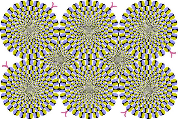 proxy.php?image=http%3A%2F%2Ftrinixy.ru%2Fpics5%2F20180511%2Foptical_illusions_04.jpg&hash=9827343dc2129433192e6280baa6f828 | Рено Каптур клуб Россия | www.KAPTUR.club