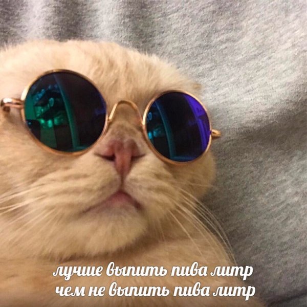 proxy.php?image=http%3A%2F%2Fs00.yaplakal.com%2Fpics%2Fpics_original%2F5%2F8%2F5%2F12301585.jpg&hash=9a6cce151d0060885fd1b3616515116f | Рено Каптур клуб Россия | www.KAPTUR.club