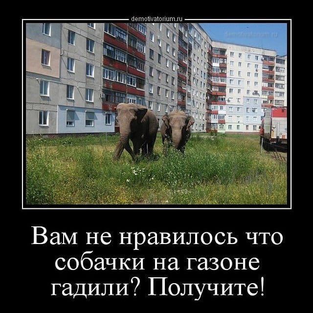 proxy.php?image=http%3A%2F%2Fs00.yaplakal.com%2Fpics%2Fpics_original%2F9%2F5%2F2%2F11540259.jpg&hash=9b8882b9883dfc5b1ef8bd03c6e783ce | Рено Каптур клуб Россия | www.KAPTUR.club