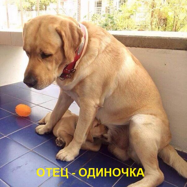 proxy.php?image=http%3A%2F%2Fs00.yaplakal.com%2Fpics%2Fpics_original%2F5%2F2%2F4%2F11875425.jpg&hash=9cb81fd69bd3dac57e47d9cd635cb1d7 | Рено Каптур клуб Россия | www.KAPTUR.club