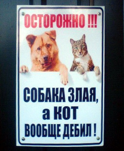 proxy.php?image=http%3A%2F%2Fdobrosos.ru%2Fwp-content%2Fuploads%2F2019%2F04%2Fsmeshnye-nadpisi-prikoly-nadpisyami-foto-110.jpg&hash=9ccb7fb5d69451012393cacb770c427a | Рено Каптур клуб Россия | www.KAPTUR.club