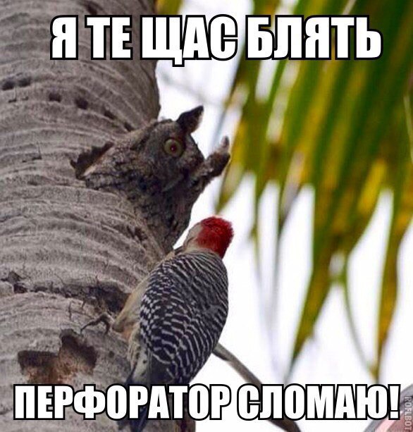 proxy.php?image=http%3A%2F%2Fs00.yaplakal.com%2Fpics%2Fpics_original%2F1%2F2%2F3%2F11483321.jpg&hash=9d219be0e87f3d144d199099c3e72d92 | Рено Каптур клуб Россия | www.KAPTUR.club