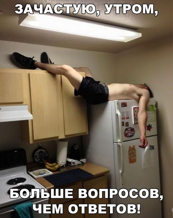 proxy.php?image=http%3A%2F%2Fdobrosos.ru%2Fwp-content%2Fuploads%2F2018%2F04%2Fsmeshnyie-prikolyi-13.jpg&hash=9f6a13fa5d6884ea5e03078b8b4d078a | Рено Каптур клуб Россия | www.KAPTUR.club