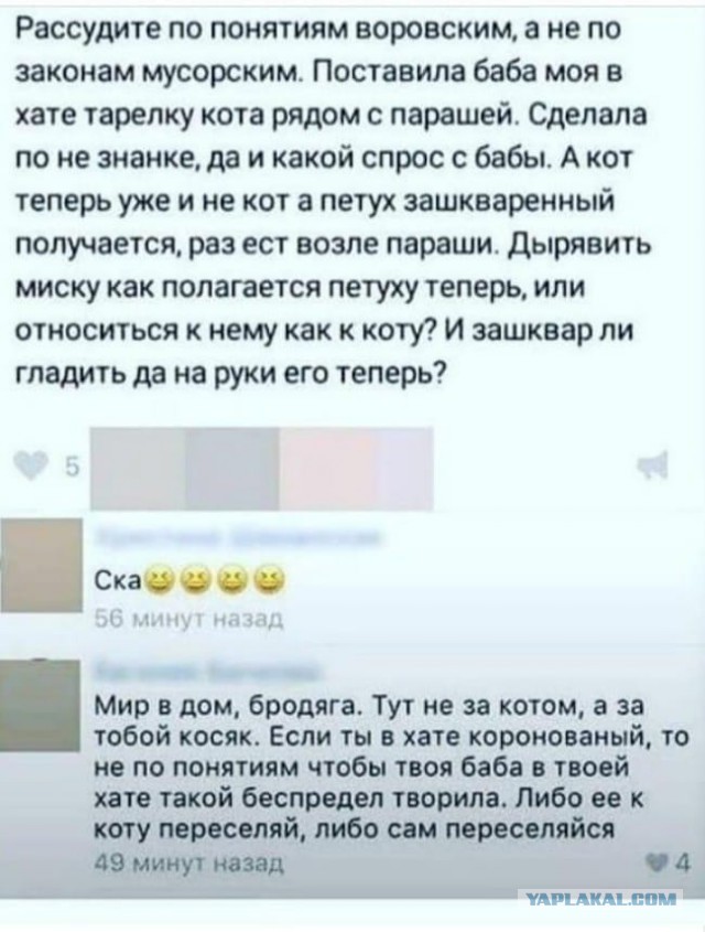 proxy.php?image=http%3A%2F%2Fs00.yaplakal.com%2Fpics%2Fpics_preview%2F9%2F4%2F1%2F12408149.jpg&hash=a0b500c5c5e7b4fa057072046cfaf405 | Рено Каптур клуб Россия | www.KAPTUR.club