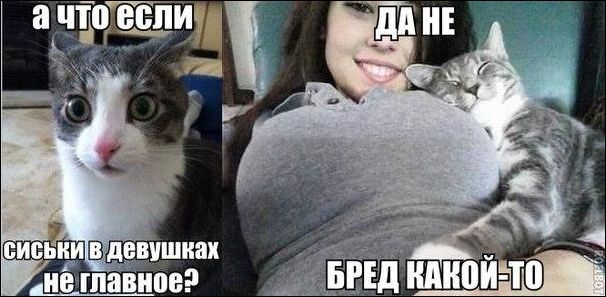 proxy.php?image=http%3A%2F%2Fwww.prikol.ru%2Fwp-content%2Fgallery%2Fjune-2017%2Fkartinki-05062017-020.jpg&hash=a25bb29056a2a71e7ea4bb95e98d57b6 | Рено Каптур клуб Россия | www.KAPTUR.club