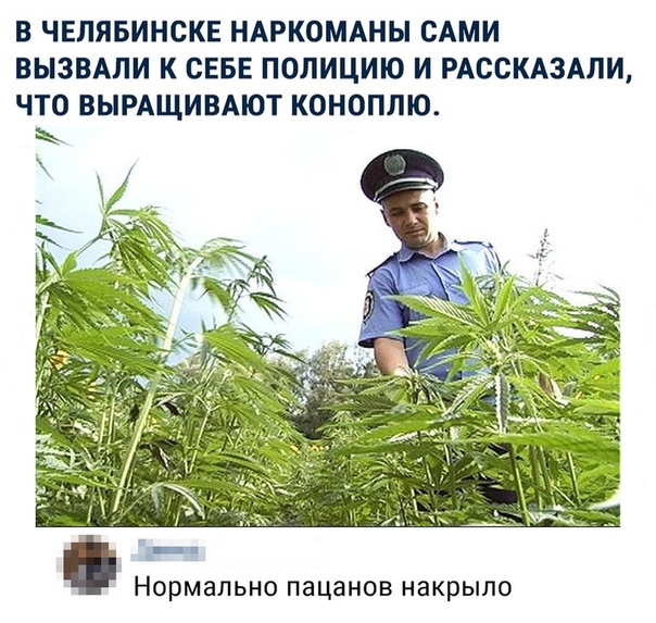 proxy.php?image=http%3A%2F%2Fs00.yaplakal.com%2Fpics%2Fpics_original%2F1%2F2%2F0%2F12335021.jpg&hash=a34927469e1d4ab0989806246ca7d560 | Рено Каптур клуб Россия | www.KAPTUR.club