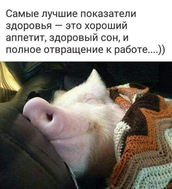 proxy.php?image=https%3A%2F%2Fi.ibb.co%2F72NKgnk%2FIMG-20240906-WA0033.jpg&hash=a5141ad1a2e06eb6dbf7b79ef5da0d1b | Рено Каптур клуб Россия | www.KAPTUR.club