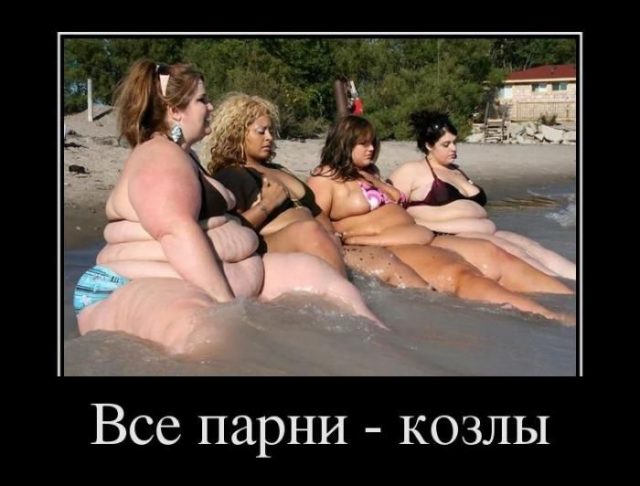 proxy.php?image=https%3A%2F%2Fbipbap.ru%2Fwp-content%2Fuploads%2F2018%2F03%2Fdemot1979-640x486.jpg&hash=a58aa6b0e14cb8dc41c20f02de4815f1 | Рено Каптур клуб Россия | www.KAPTUR.club