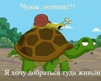 proxy.php?image=https%3A%2F%2Fxn--b1agaykvq.xn--p1ai%2Fphotopricoly%2F1%2Fs8838_1427579864.jpg&hash=a5c013c1aa533b049b36978cb1b9e5bd | Рено Каптур клуб Россия | www.KAPTUR.club