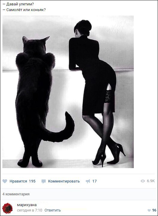 proxy.php?image=http%3A%2F%2Fwww.hotinfo.ru%2Fuploads%2Fposts%2F2017-09%2F1504776816_oei5zxwtl_i.jpg&hash=a5fc8e7829d0f7a7c771d0c0425a9fdb | Рено Каптур клуб Россия | www.KAPTUR.club