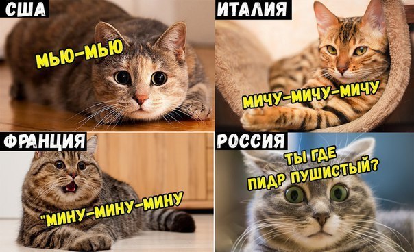 proxy.php?image=http%3A%2F%2Fs00.yaplakal.com%2Fpics%2Fpics_original%2F1%2F6%2F5%2F11483561.jpg&hash=a9d177c2cc1b83085db0d874beac2797 | Рено Каптур клуб Россия | www.KAPTUR.club