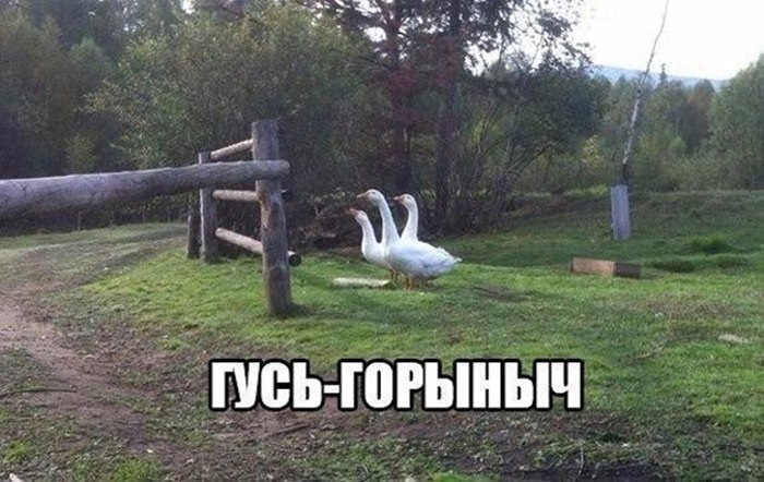 proxy.php?image=https%3A%2F%2Fsun1-18.userapi.com%2Fc857028%2Fv857028193%2F1a3d80%2F_LRVsWrp-R0.jpg&hash=aa8f916859d7e05d5ab50af33ae6259c | Рено Каптур клуб Россия | www.KAPTUR.club