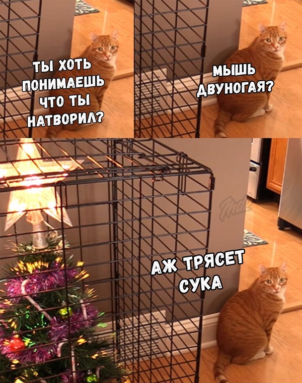 proxy.php?image=http%3A%2F%2Fs00.yaplakal.com%2Fpics%2Fpics_original%2F7%2F0%2F4%2F12335407.jpg&hash=aac69ac73266c3f1d2a0805c574d58f7 | Рено Каптур клуб Россия | www.KAPTUR.club