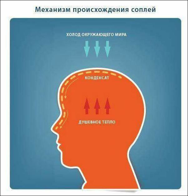 proxy.php?image=http%3A%2F%2Fwww.prikol.ru%2Fwp-content%2Fgallery%2Foctober-2017%2Fkartinki-29102017-003.jpg&hash=ac4d68a767251888fe5851cd8a3ecb99 | Рено Каптур клуб Россия | www.KAPTUR.club