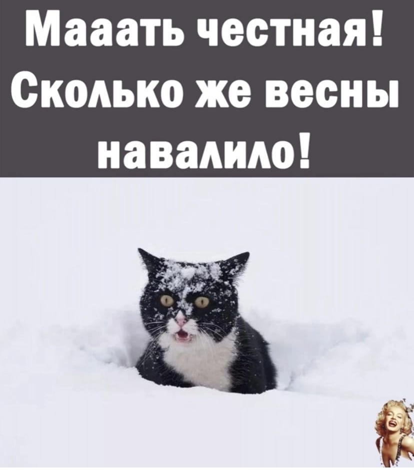 proxy.php?image=https%3A%2F%2Fi.ibb.co%2Fy5svyPy%2FIMG-20230403-WA0049.jpg&hash=ad36821fbd94ccf81ad35e9f251086ce | Рено Каптур клуб Россия | www.KAPTUR.club
