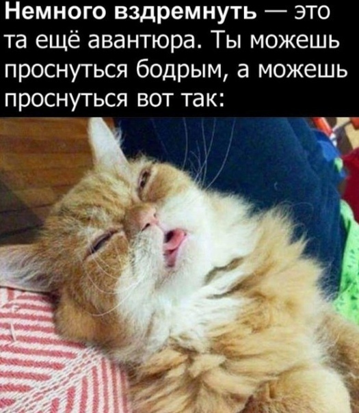 proxy.php?image=http%3A%2F%2Fs00.yaplakal.com%2Fpics%2Fpics_original%2F0%2F6%2F7%2F11687760.jpg&hash=ad7c53456649ad73399467127fef37fa | Рено Каптур клуб Россия | www.KAPTUR.club