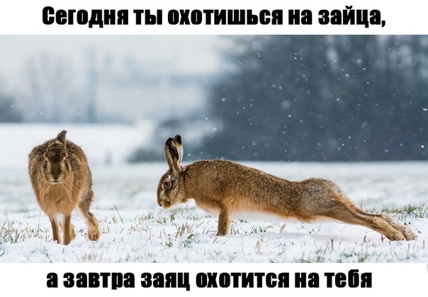 proxy.php?image=https%3A%2F%2Fpp.userapi.com%2Fc845016%2Fv845016693%2Fca723%2F0oUeuoHq-sY.jpg&hash=ae3da8d40691c3768011a646dc26e140 | Рено Каптур клуб Россия | www.KAPTUR.club