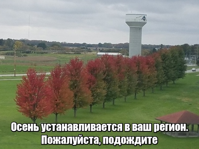 proxy.php?image=http%3A%2F%2Fs00.yaplakal.com%2Fpics%2Fpics_original%2F8%2F0%2F5%2F12296508.jpg&hash=af16fa9a1241eb56a9ad12c91d186500 | Рено Каптур клуб Россия | www.KAPTUR.club