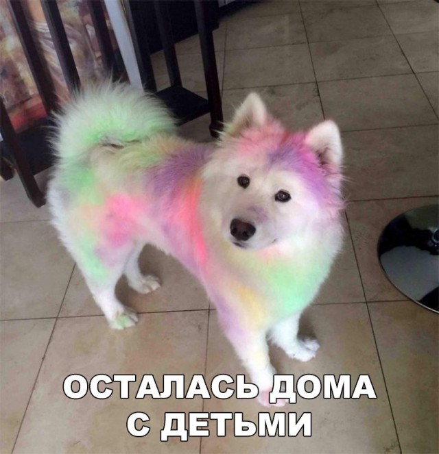 proxy.php?image=http%3A%2F%2Fs00.yaplakal.com%2Fpics%2Fpics_preview%2F5%2F6%2F6%2F11249665.jpg&hash=afd0dfd45d6407ef86040f5c3db75ae4 | Рено Каптур клуб Россия | www.KAPTUR.club