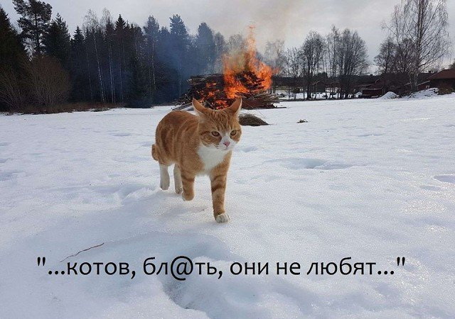 proxy.php?image=http%3A%2F%2Fs00.yaplakal.com%2Fpics%2Fpics_original%2F8%2F4%2F1%2F13720148.jpg&hash=b10e954ad488a5fa27b4ccbb3bf2499c | Рено Каптур клуб Россия | www.KAPTUR.club