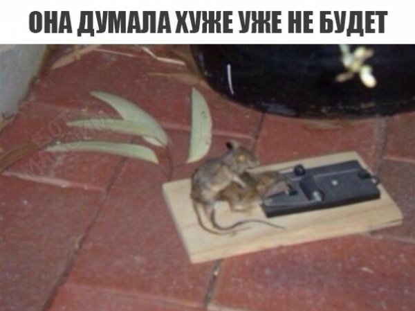 proxy.php?image=http%3A%2F%2Fs00.yaplakal.com%2Fpics%2Fpics_original%2F0%2F1%2F5%2F12425510.jpg&hash=b19c1b872f92e62ba2161ea61529e926 | Рено Каптур клуб Россия | www.KAPTUR.club