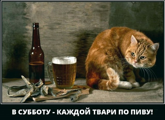 proxy.php?image=http%3A%2F%2Fs00.yaplakal.com%2Fpics%2Fpics_preview%2F1%2F5%2F8%2F13378851.jpg&hash=b1ee30371fd64e8b708639bbf1eafeff | Рено Каптур клуб Россия | www.KAPTUR.club