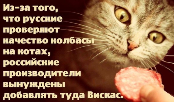proxy.php?image=http%3A%2F%2Fs00.yaplakal.com%2Fpics%2Fpics_original%2F3%2F7%2F6%2F12407673.jpg&hash=b39e9d0c9391dae3147d3177688f5924 | Рено Каптур клуб Россия | www.KAPTUR.club