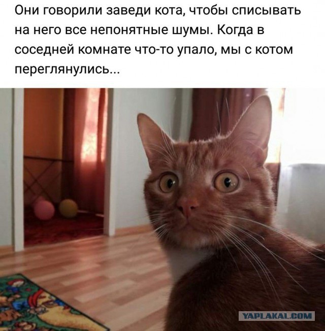 proxy.php?image=http%3A%2F%2Fs00.yaplakal.com%2Fpics%2Fpics_preview%2F4%2F9%2F2%2F12378294.jpg&hash=b4529adab93337459373514e1451641b | Рено Каптур клуб Россия | www.KAPTUR.club