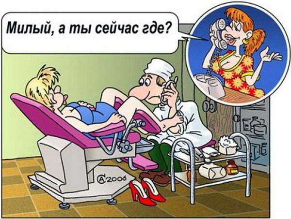 proxy.php?image=http%3A%2F%2Fdobrosos.ru%2Fwp-content%2Fuploads%2F2019%2F11%2Finteresnye-foto-prikoly-06.jpg&hash=b65ffb1b6c99b70be7cc4f444a011c5b | Рено Каптур клуб Россия | www.KAPTUR.club