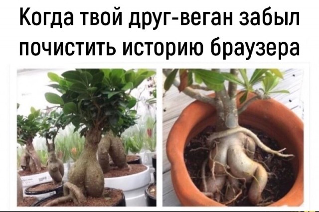 proxy.php?image=http%3A%2F%2Fs00.yaplakal.com%2Fpics%2Fpics_preview%2F1%2F0%2F4%2F12289401.jpg&hash=b99ad21350a155dd3cedf86df1aefeb1 | Рено Каптур клуб Россия | www.KAPTUR.club