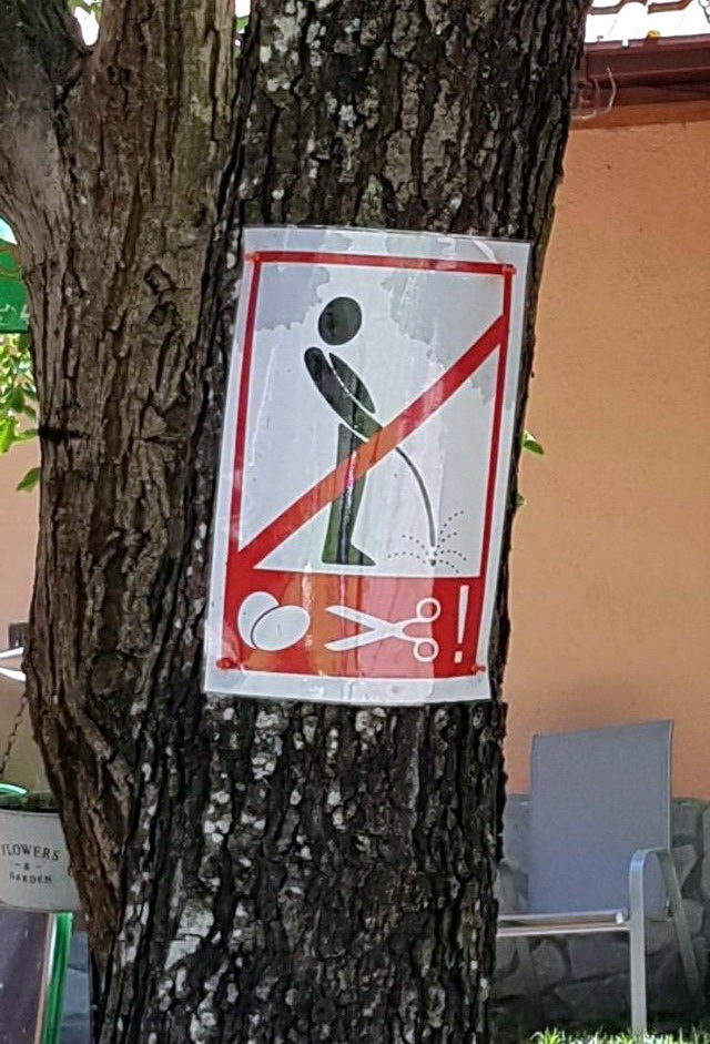 proxy.php?image=http%3A%2F%2Fdobrosos.ru%2Fwp-content%2Fuploads%2F2019%2F07%2Ffoto-prikoly-novye-fotoprikoly-07.jpg&hash=b99e66267fac71215d78d63ffe24e411 | Рено Каптур клуб Россия | www.KAPTUR.club