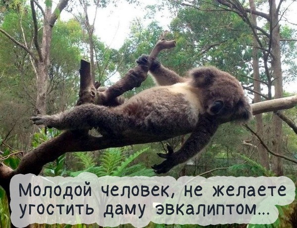 proxy.php?image=http%3A%2F%2Fdobrosos.ru%2Fwp-content%2Fuploads%2F2019%2F07%2Fsvezhie-foto-prikoly-s-nadpisyami-26.jpg&hash=baeabf5f7f24518722562daad5f629ea | Рено Каптур клуб Россия | www.KAPTUR.club