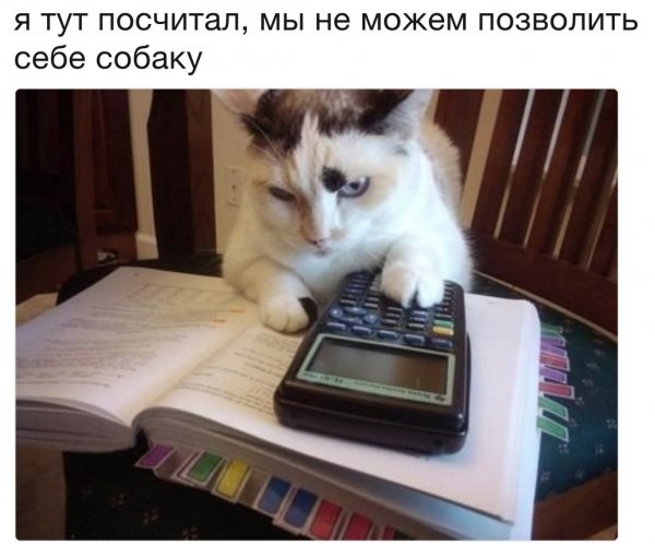 proxy.php?image=http%3A%2F%2Fs00.yaplakal.com%2Fpics%2Fpics_original%2F2%2F4%2F5%2F11482542.jpg&hash=bccb7459182eed7e795ee9e9f2f19338 | Рено Каптур клуб Россия | www.KAPTUR.club