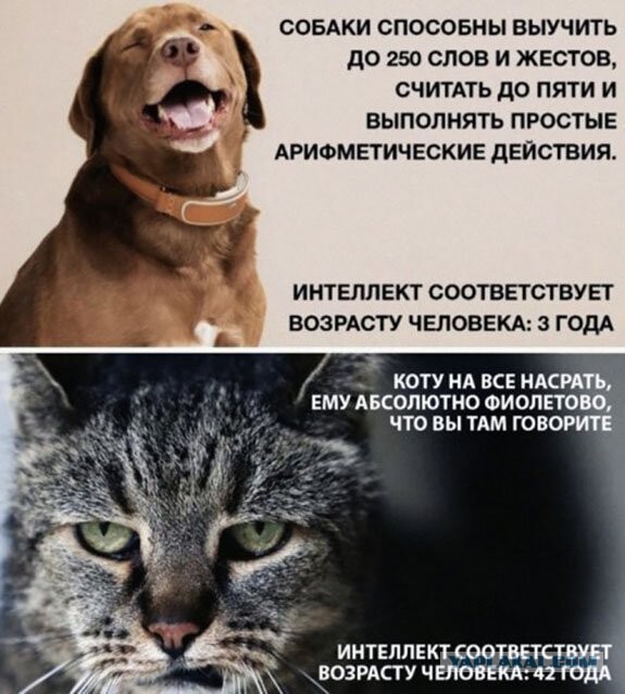 proxy.php?image=http%3A%2F%2Fs00.yaplakal.com%2Fpics%2Fpics_original%2F6%2F6%2F0%2F13412066.jpg&hash=bde7dd18e091c6cfd73965494bfd2dfc | Рено Каптур клуб Россия | www.KAPTUR.club