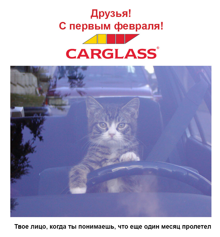 proxy.php?image=https%3A%2F%2Fcarglass.ru%2Fimg%2Fforum%2Fcat.jpg&hash=bee429726b69916626f3fb170086ac90 | Рено Каптур клуб Россия | www.KAPTUR.club