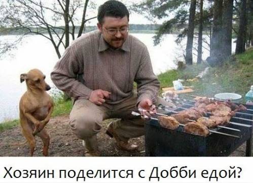 proxy.php?image=https%3A%2F%2Fxn--b1agaykvq.xn--p1ai%2Fphotopricoly%2F1%2F435478870.jpg&hash=c0a57c6763d551b6f2f37687bd51b627 | Рено Каптур клуб Россия | www.KAPTUR.club