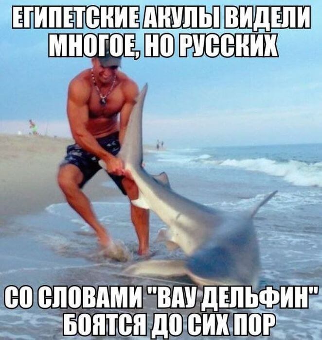 proxy.php?image=http%3A%2F%2Fkorki.lol%2Fwp-content%2Fuploads%2F2017%2F05%2Ffunny-joker-03.jpg&hash=c14eae3f13eabcc37ee372f40baf984b | Рено Каптур клуб Россия | www.KAPTUR.club