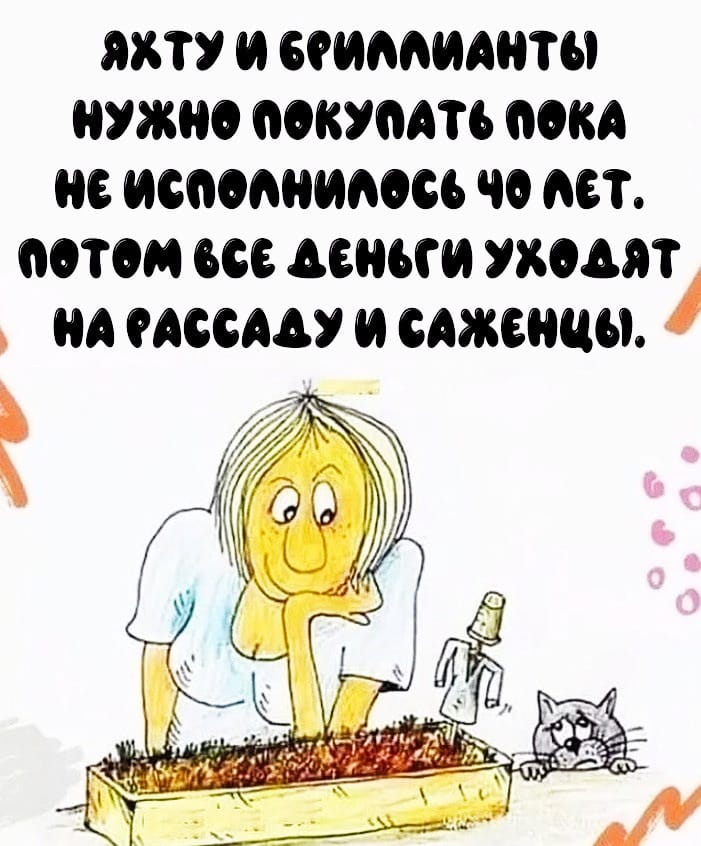 proxy.php?image=https%3A%2F%2Fi.ibb.co%2FMRjVXLD%2FIMG-20230402-WA0001.jpg&hash=c1fab87d5e25f9681c090290380f3caf | Рено Каптур клуб Россия | www.KAPTUR.club